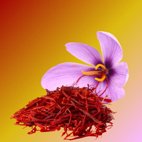 عطور الزعفران