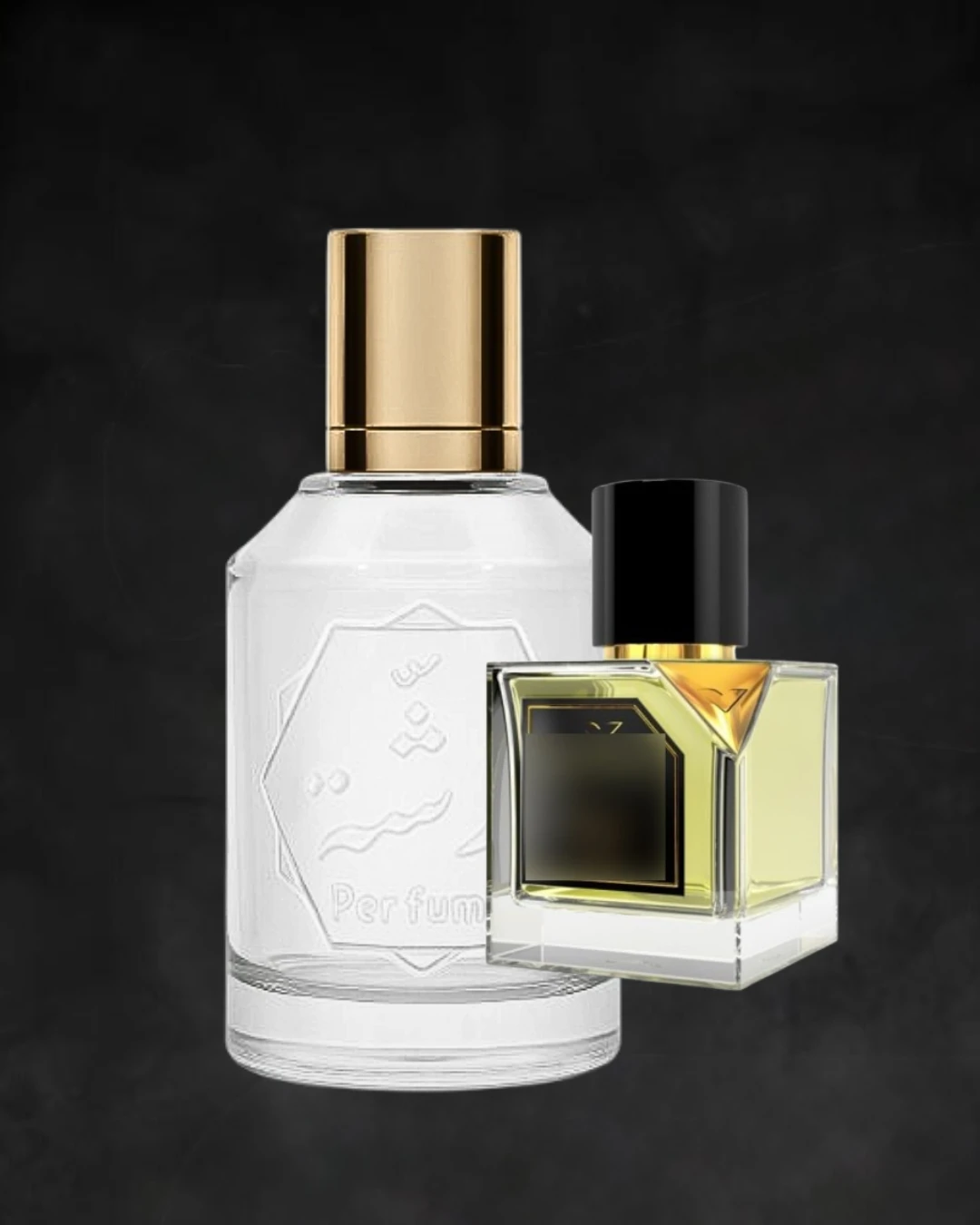 سول باتشولي فيرتوس